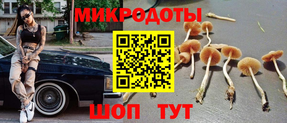 Галлюциногенные грибы Psilocybe  Вход с VPN  Уссурийск 