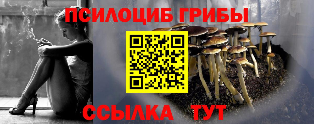 Псилоцибиновые грибы Magic Shrooms Уссурийск